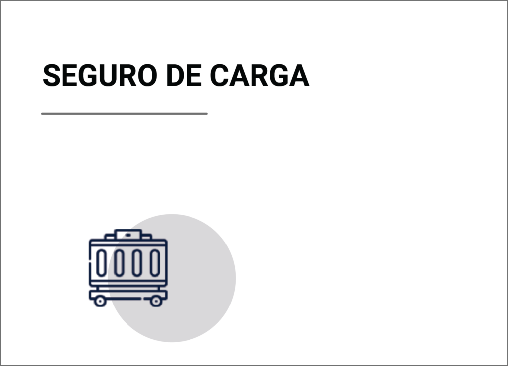 seguro